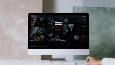 s flix streaming service success