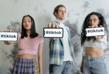 exploring online culture dynamics